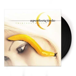 A Perfect Circle Thirteenth Step 12" Vinyl (180gm Import)