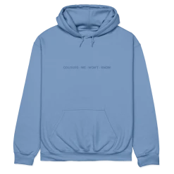 Drown This City Colours We Won't Know Hoodie (Indigo Blue)
